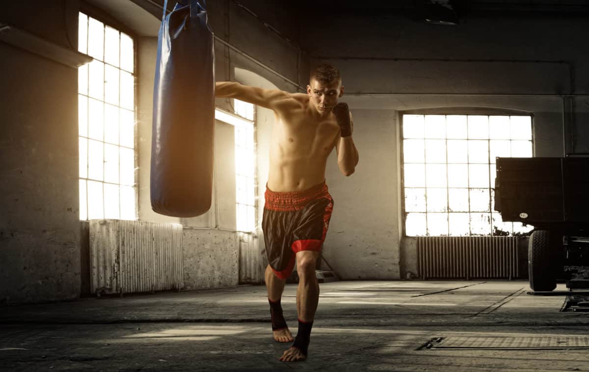 top 5 punching bags